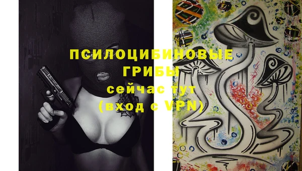 СК Мегион