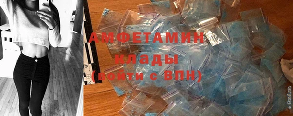 индика Михайловка