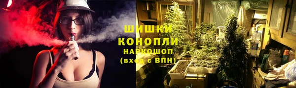 СК Мегион